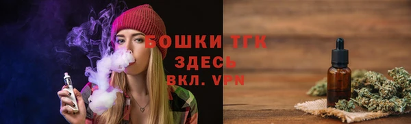 соль ск Богородицк
