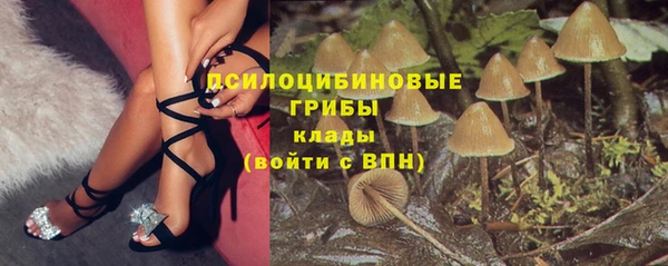 винт Богородск