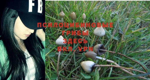 сатива Бугульма