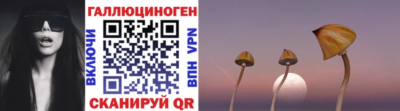 Галлюциногенные грибы Cubensis  магазин    Кирс 